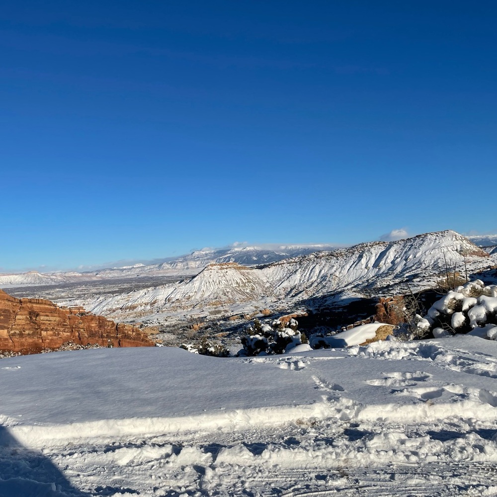 Meet your Posher, Adrianna